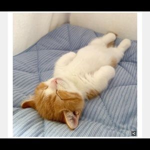 Meet your Posher, Wendy